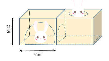 うさぎさんは狭い場所が好き 段ボールのお部屋が気に入り うさぎと過ごす幸せな時間